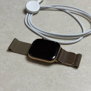 애플워치 10 46mm 티타늄 골드