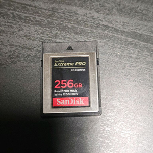 샌디스크 cf express b 256g
