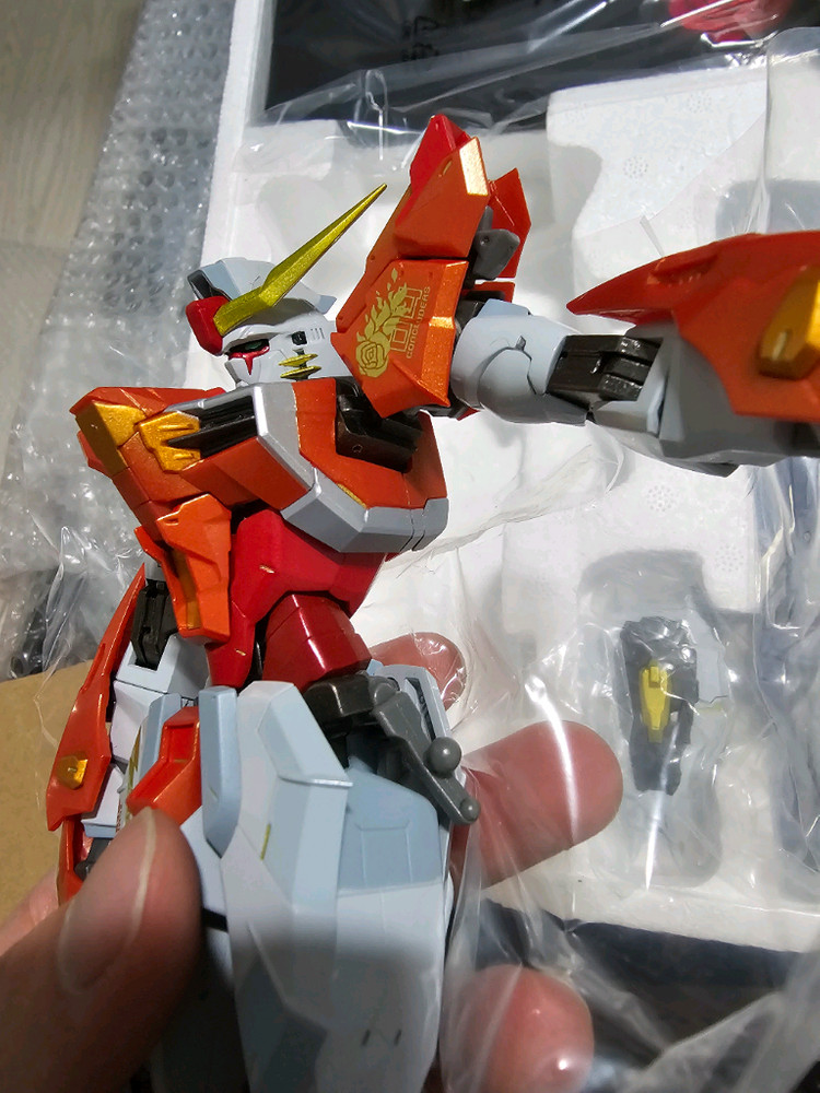 메탈빌드 데스티니 +빛의날개 (하이네버전)--1