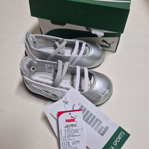 스피드캣 발레 실버 140