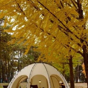 레트로스 허브쉘터 빅 풀세트 판매합니다! 이미지