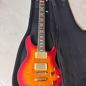 시그니처 일렉기타 이미지