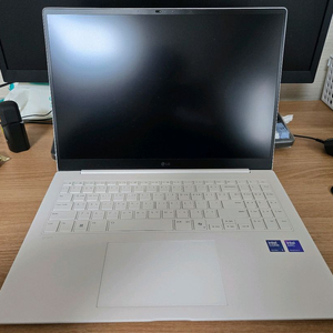 LG 2025 그램PRO 16ZD90TP