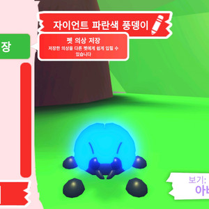 입양하세요 펫 메가네온 자이언트 파란색 풍뎅이 판매합니다