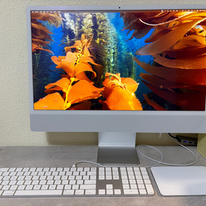 아이맥 24 M1 칩 16GB RAM 512GB 고급형