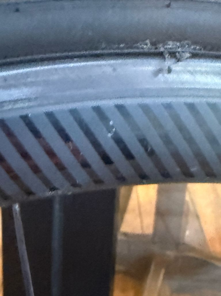 자이언트 tcr 어드밴스1 sunweb 썬웹 팀카 이미지