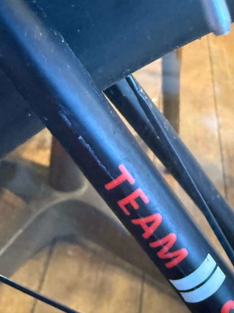 자이언트 tcr 어드밴스1 sunweb 썬웹 팀카 이미지