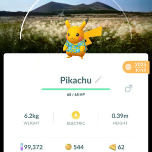 포켓몬고 제주도 배경 이로치 피카츄 이미지