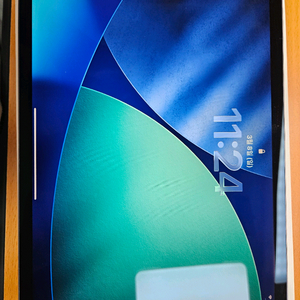 아이패드 프로11 1세대 셀롤러 256 하자 X