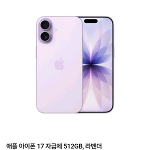 아이폰17 자급제 512gb