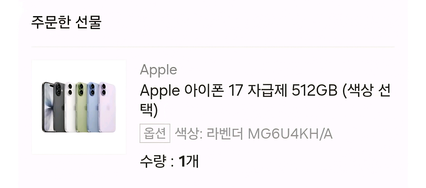 아이폰17 자급제 512gb--2