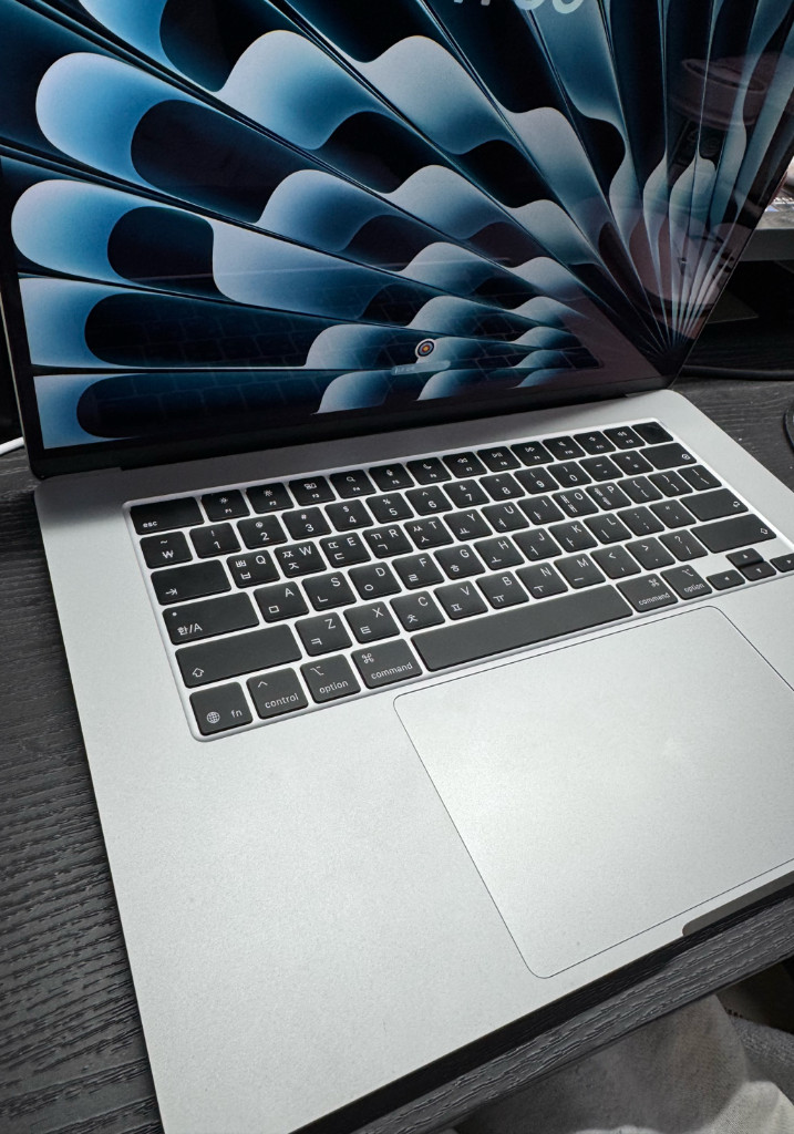 맥북 에어 15 M4 (16GB / 256GB) 실버 판매합니다--1