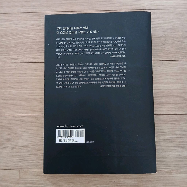 태백산맥 소설 2권 이미지