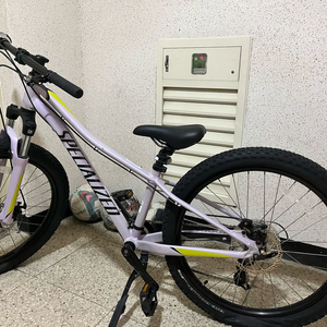 스폐셜라이즈드 립락 24인치