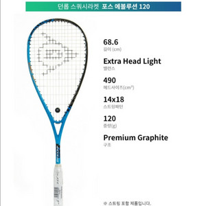 던롭 포스 에볼루션 120 스쿼시 라켓