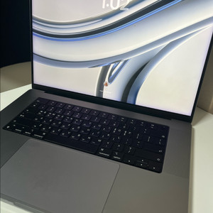 맥북프로 m1 pro 16인치 32기가 94%