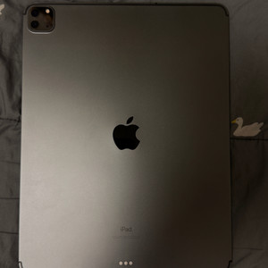 아이패드프로12.9 4세대 셀롤러 128기가 스그 팔아요