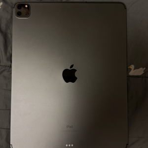 아이패드프로12.9 4세대 셀롤러 128기가 스그 팔아요