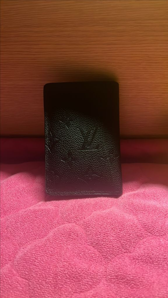 루이비통 오거나이저 이미지