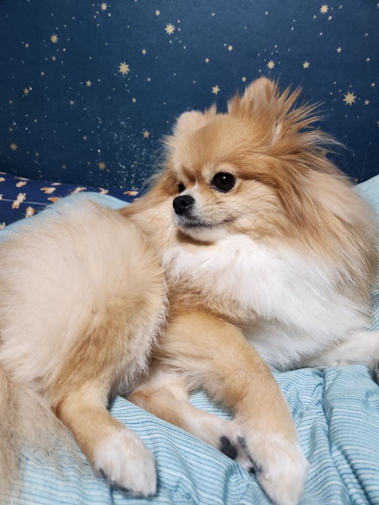 프로필 이미지
