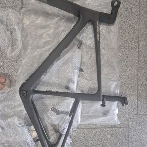 캐논데일 슈퍼식스에보2 raw 25년 51사이즈 프레임