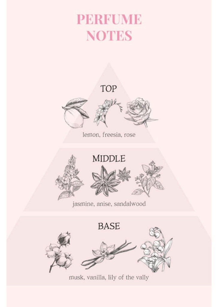 엘리메르 더 핑크 에디션 향수--3