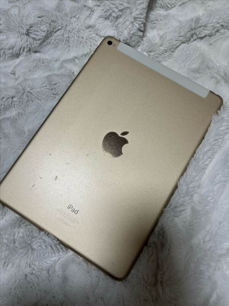 아이패드 에어2 128기가 셀룰러(풀세트) 이미지