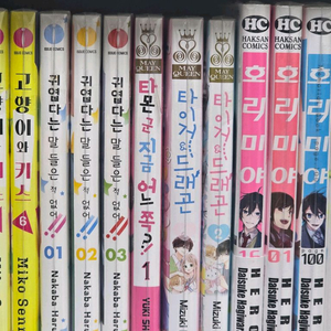 귀엽다는 말 들은 적 없어 타몬군은 지금 어느쪽 타이거 드래곤