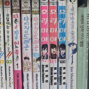 호리미야 바니타스의 수기