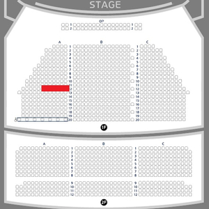 뮤지컬 데스노트 4/1 김준수 & 고은성 1층 VIP석 A구역 12열 2연석