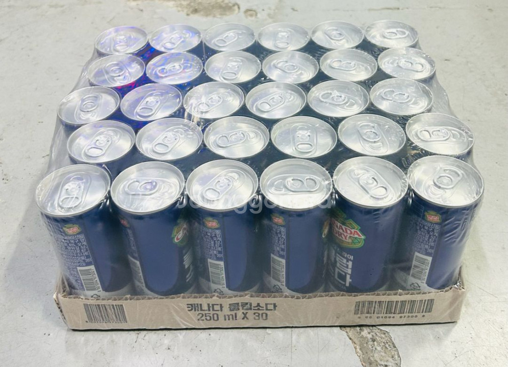 캐나다 드라이 클럽소다 250 ml--2