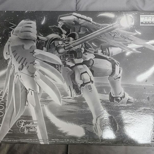 mg 톨기스F플뤼겔