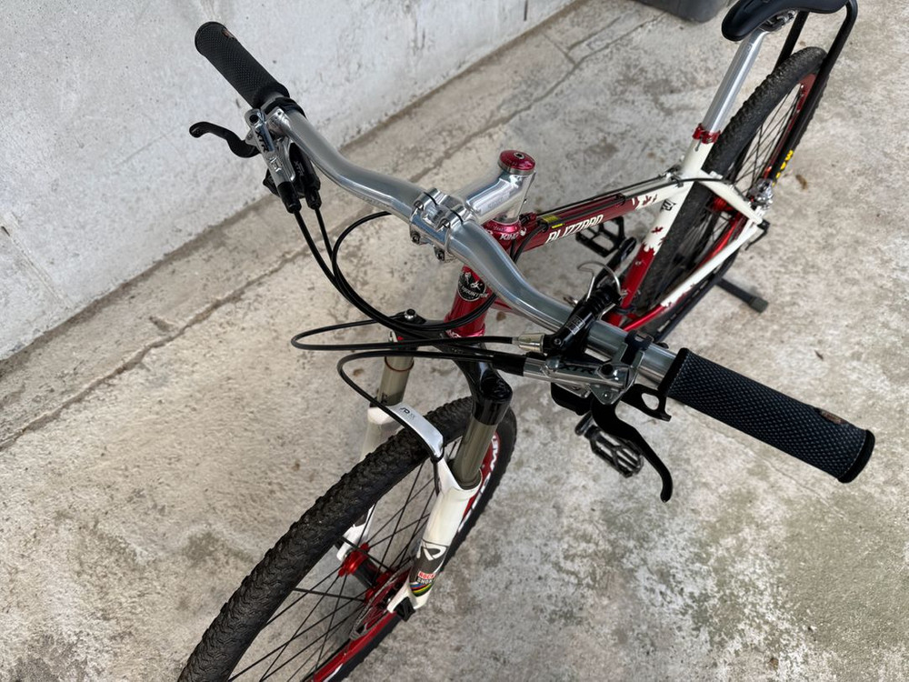 록키마운틴 블리자드 크로몰리--2