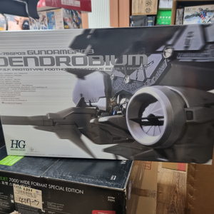 건담 프라모델 덴드로비움