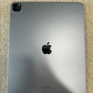아이패드 프로6세대 12.9인치 256GB 스페이스그레이 와이파이 모델