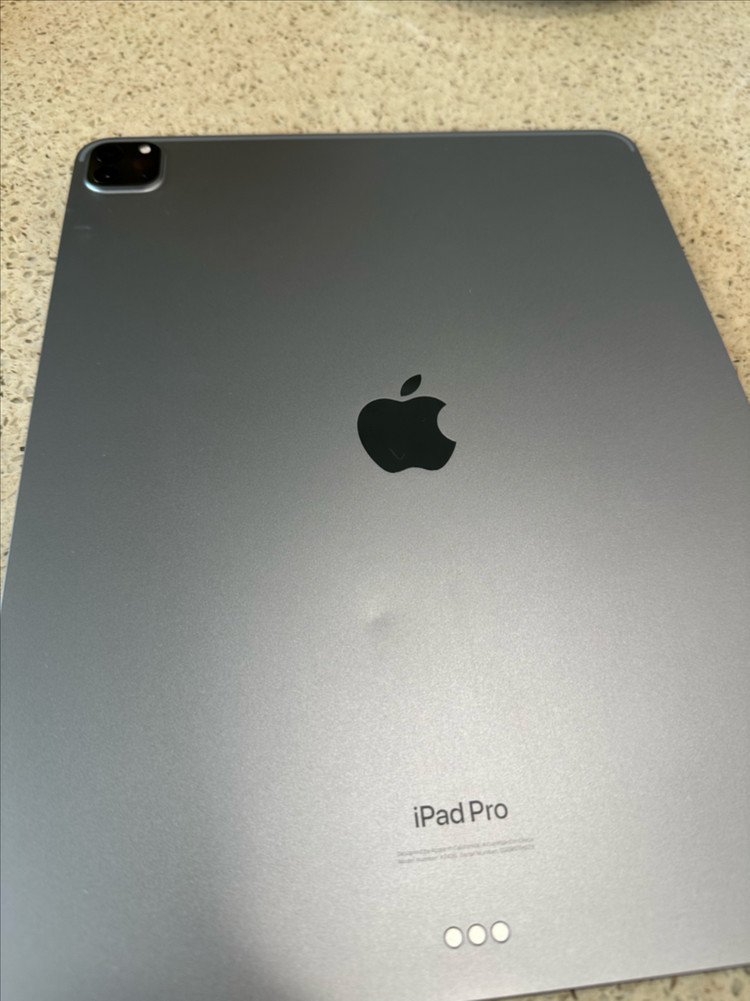 아이패드 프로6세대 12.9인치 256GB 스페이스그레이 와이파이 모델--1