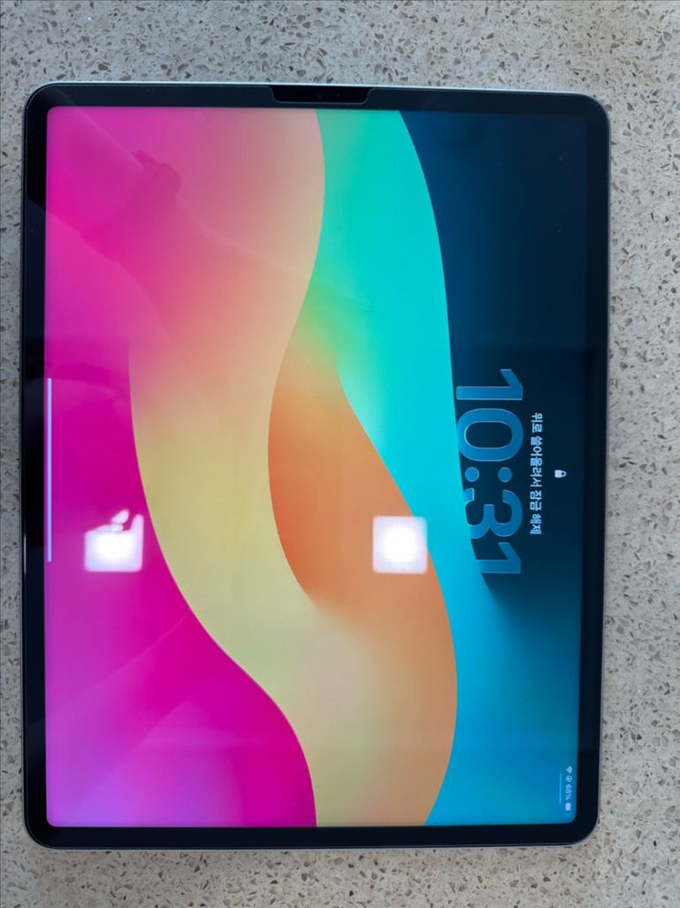 아이패드 프로6세대 12.9인치 256GB 스페이스그레이 와이파이 모델--3