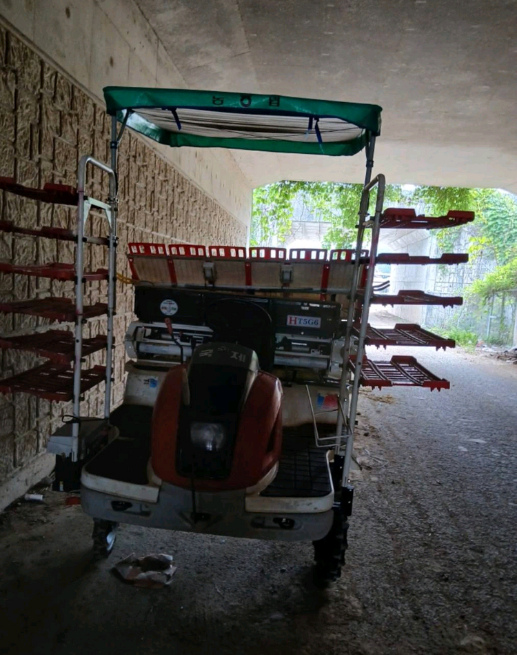 모심는기계 이앙기 국제 이앙기--8