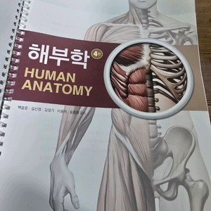 해부학 교재 4판