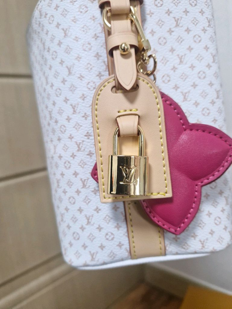 루이비통 올인BB 버킷백--5