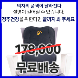 #할인가능+무료배송) 젠틀리머 척추교정 쿠션+방석카시트 이미지