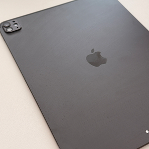 아이패드 프로13인치 256GB