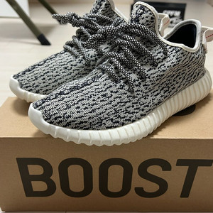 (255)이지부스트 350 터틀도브 이미지