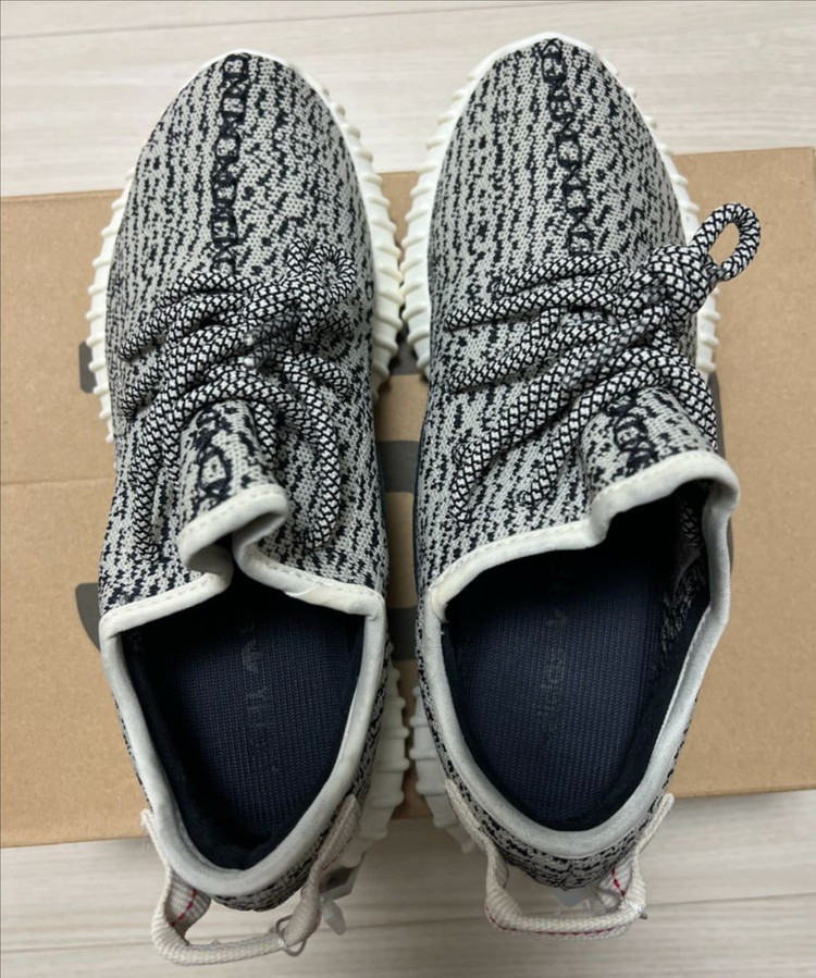 (255)이지부스트 350 터틀도브 이미지