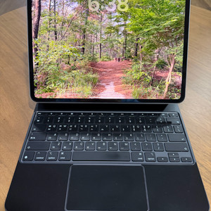 [대전/분당] 아이패드 프로 13 M4 256GB WiFi + 매직키보드 + 펜슬프로