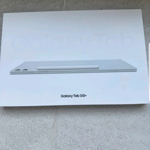 삼성 갤럭시탭 S10+ 256GB [미개봉]
