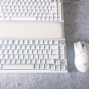 레이저 바이퍼 v2 pro