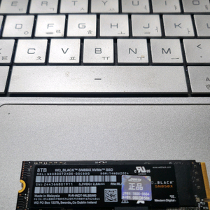 웨스턴디지털 블랙 초고속 특대용량 8TB