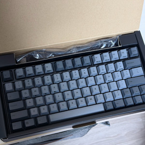 리얼포스 RC1 30g