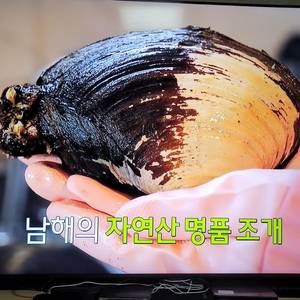 삼성KQ85QND83BF 이미지